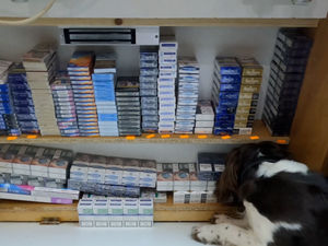 Supporting image for story: Illegal vapes and cigarettes found in sniffer dog raids in Telford and Wrekin