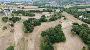 Dave Healy said the weather had been a constant challenge, with four heatwaves causing the grass to dry and burn out
