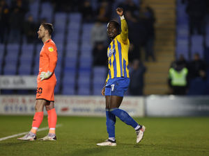 Supporting image for story: AFC Telford happy to offer Shrewsbury insight on non-league 'hidden gems'