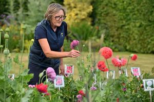 Juliet Banks in her garden Stream Barn that is opening as part of the trail this weekend. 