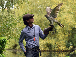 Supporting image for story: Ben Crane on how his love of birds inspired book Blood Ties