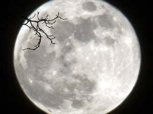 Supporting image for story: Great opportunity as rare supermoons set to hit region this month - the first tonight