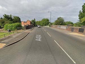 Supporting image for story: Dog 'dumped while giving birth' dies after being found in extreme distress