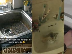Supporting image for story: This filthy student flat will probably make your skin crawl