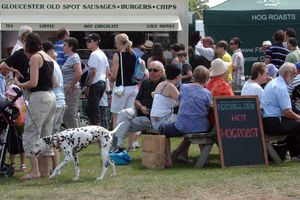 Supporting image for story: Shropshire County Show getting into top gear