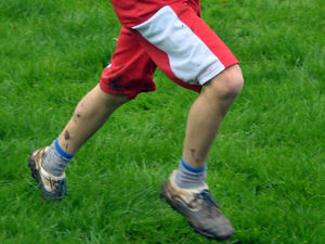 Supporting image for story: Shropshire celebrates best ever cross country success