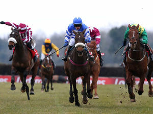 Supporting image for story: Letter: Help save the horses