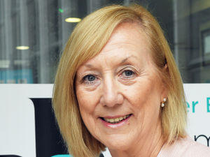 Supporting image for story: Incentive payments to boost Ladder