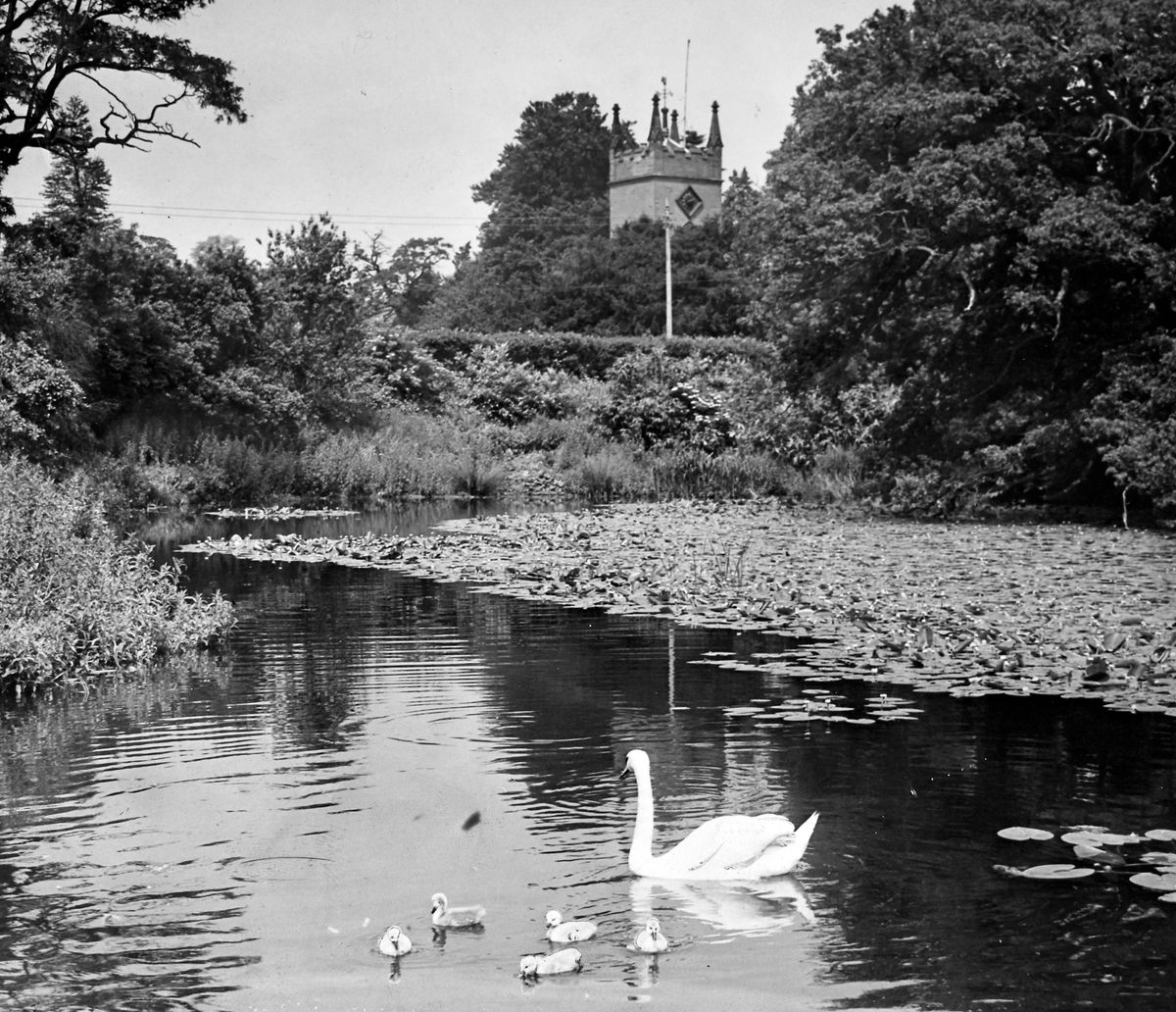 E-transporters need clear laws, say concerned reader - your letters, plus a throwback to a picturesque village in 1949 E-transporters need clear laws, say concerned reader - your letters, plus a throwback to a picturesque village in 1949