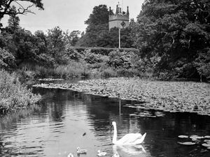 Supporting image for story: E-transporters need clear laws, say concerned reader - your letters, plus a throwback to a picturesque village in 1949