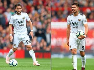 Supporting image for story: Kenny Hibbitt: I’d love to play in this Wolves midfield