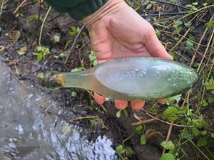 Supporting image for story: Police called to 'unexploded device' in south Shropshire find only unusually-shaped glass bottle