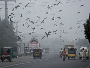 Supporting image for story: Pakistani province declares health emergency due to smog
