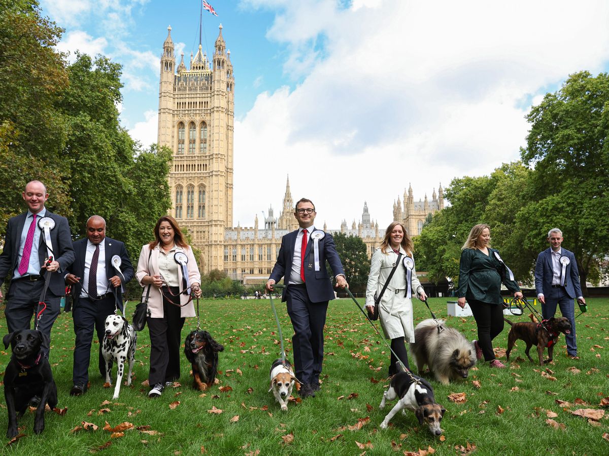 MPs joined by four-legged friends for Westminster dog show MPs joined by four-legged friends for Westminster dog show