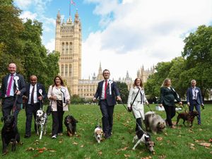 Supporting image for story: MPs joined by four-legged friends for Westminster dog show