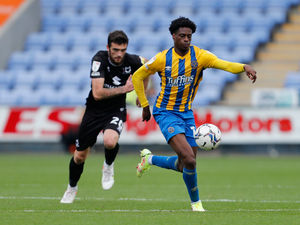 Supporting image for story: Shrewsbury Town 1 MK Dons 0 - Player ratings