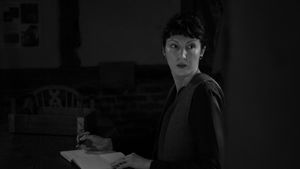 The Theatre on the Steps will be hosting the chilling thriller 'The Birds'.