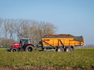 Supporting image for story: Farming revealed as UK's most dangerous job - one in five workplace fatalities is a farmer - with one contributory factor highlighted as a major cause