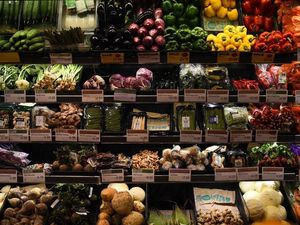 Supporting image for story: A valid argument on vegetarianism
