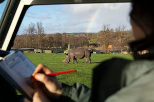 The annual animal stock take is underway at West Midland Safari Park