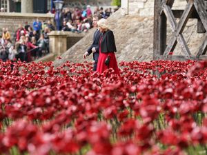 Supporting image for story: Queen praises ‘beautiful’ poppy display at Tower of London