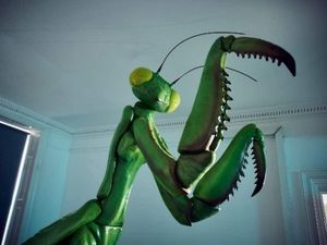 Supporting image for story: David Shrigley installs giant praying mantis sculpture at former school