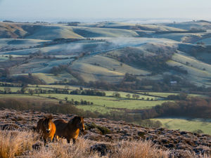 Supporting image for story: National Park for Shropshire? Councillor says we should grab this opportunity with both hands