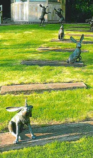The bronze hare statues