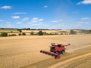 Supporting image for story: Farming leaders mark ‘self-sufficiency day’ with call to bolster food security