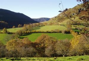 The rural community council represents a population of about 615 residents