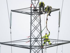 Supporting image for story: AI technology trialled to predict power outages caused by storms