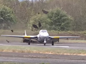 Supporting image for story: Repairs complete after plane ripped up runway at Wolverhampton Halfpenny Green Airport