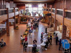 Supporting image for story: Election Day unfolds relatively smoothly despite Trump’s unsubstantiated claims