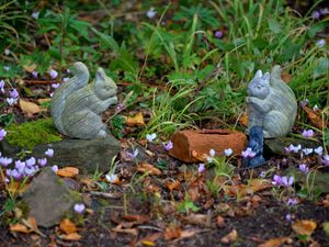 Supporting image for story: Shropshire in top five regions for homes with the most garden space