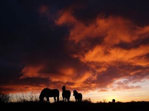 Supporting image for story: People are sharing stories of the most unlikely thing that ever happened to them