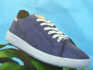 Supporting image for story: Reebok wants to make biodegradable shoes from corn