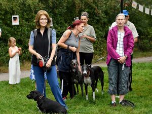Supporting image for story: Pet lovers join poignant walk in memory of their lost four-legged friends