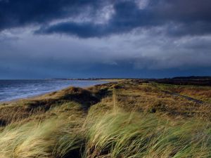 Supporting image for story: Remains discovered on Scottish beach ‘linked to body found in Northern Ireland’