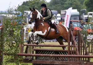 The Working hunter jumping at Newport Show
