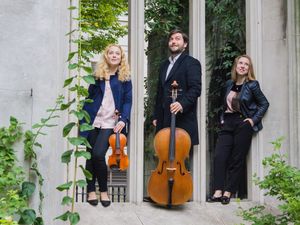 Supporting image for story: Classical piano trio to put exuberance centre stage