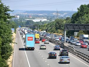 Supporting image for story: Traffic noise drowns out cricket courtship songs, research suggests