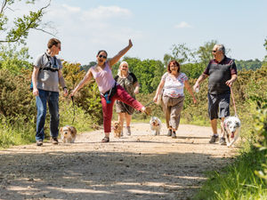 Supporting image for story: The great British dog walk: Take on a walking challenge in Shropshire and help deaf people combat isolation