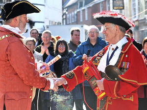 Supporting image for story: Hundreds watch ceremony to mark granting of Wellington town charter