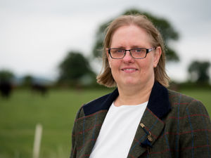 Supporting image for story: Outstanding success for FBC Manby Bowdler in Chambers UK Legal Guide 2026 rankings