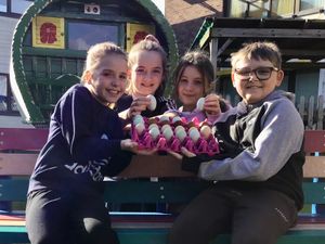 Supporting image for story: Egg hatching project at Stourport school
