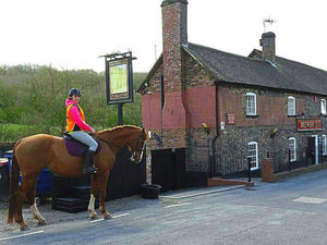 Supporting image for story: Shropshire ride-through pub proves mane attraction for horse riders