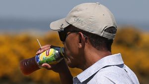 Supporting image for story