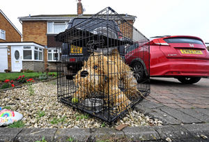 A straw dog is guarding one residents' home
