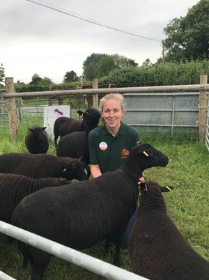 Catriona with some of the sheep