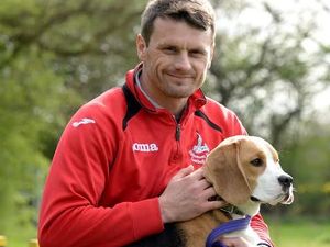 Supporting image for story: Dusty the beagle under best behaviour: Halesowen Town's pitch invader goes back to school